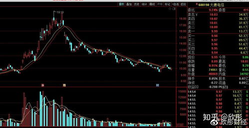 难受四兄弟闹心 紫光国微、方正科技、隆平高科、大唐电信的网络与信息安全软件开发之困
