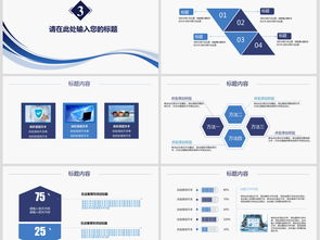 互联网计算机与网络信息安全软件开发——构建数字时代的坚实防线