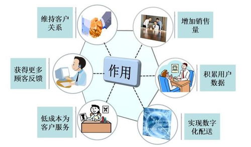 德州信息快排与网站安全 一站式外贸网络服务助力企业数字化转型